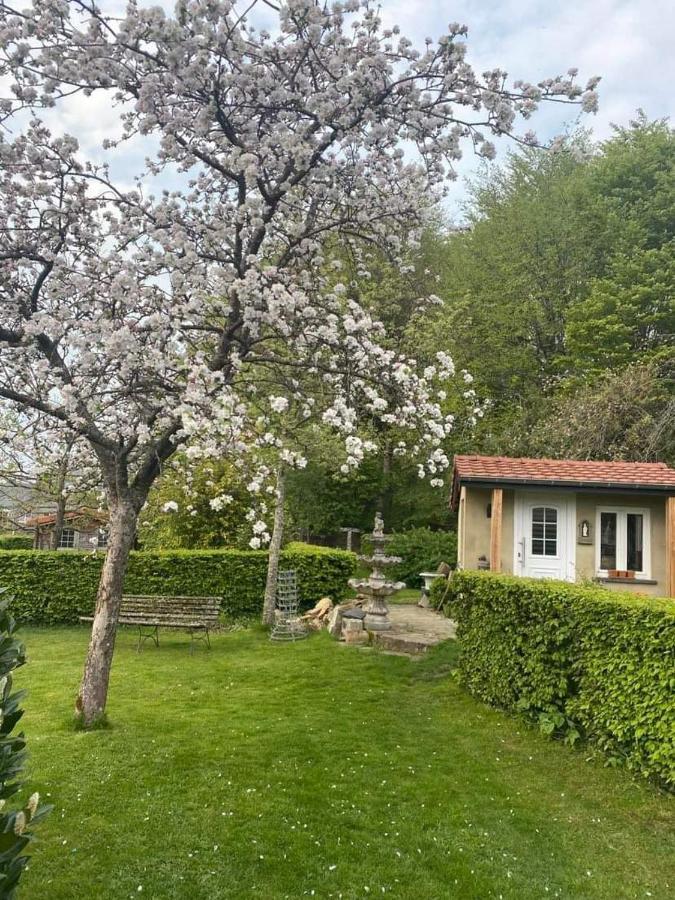 Chez Monsieur Bed & Breakfast Florenville Exterior foto